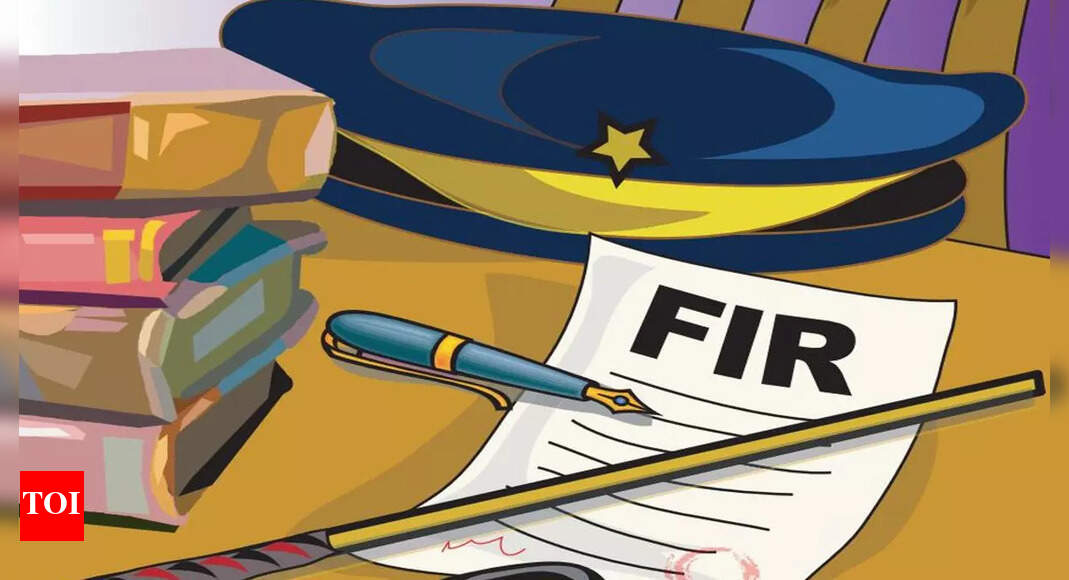 Two drunk Goa cops suspended for outraging modesty of female bouncer | Goa News