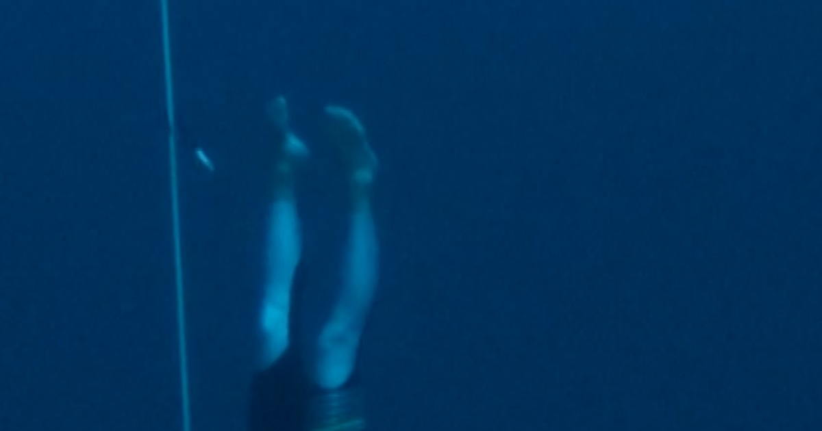 Ukrainian freediver sets new record with 282-foot dive