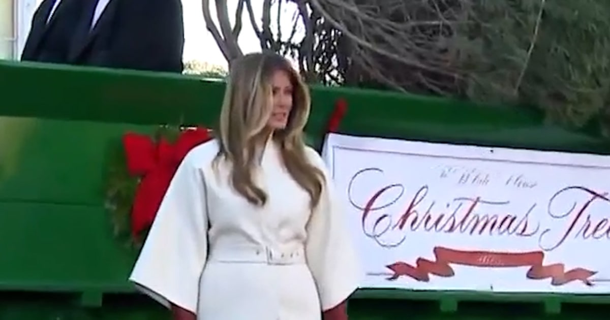 Melania Trump receives White House Christmas tree