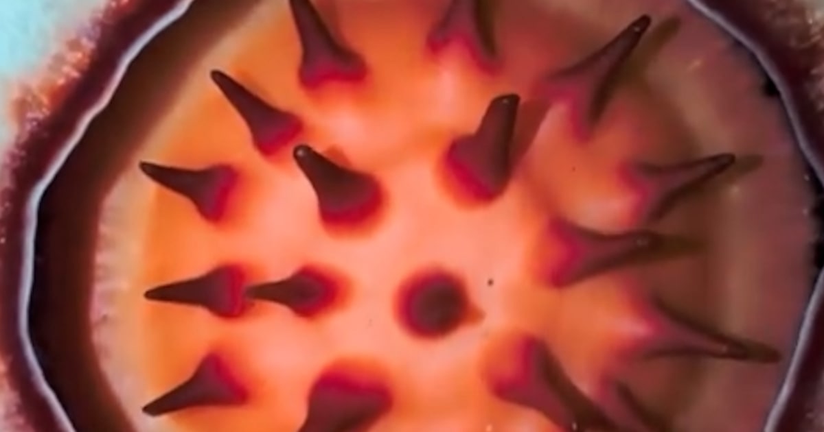 Botanist grows emotional after finding rare flower