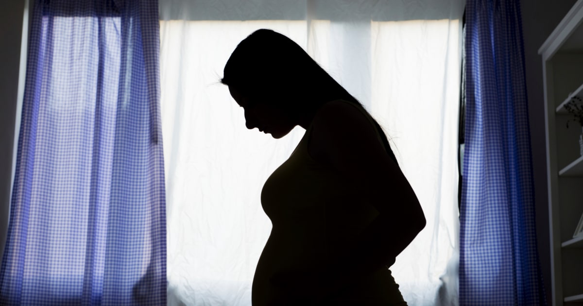 How a top-tier surrogacy agency became an FBI target