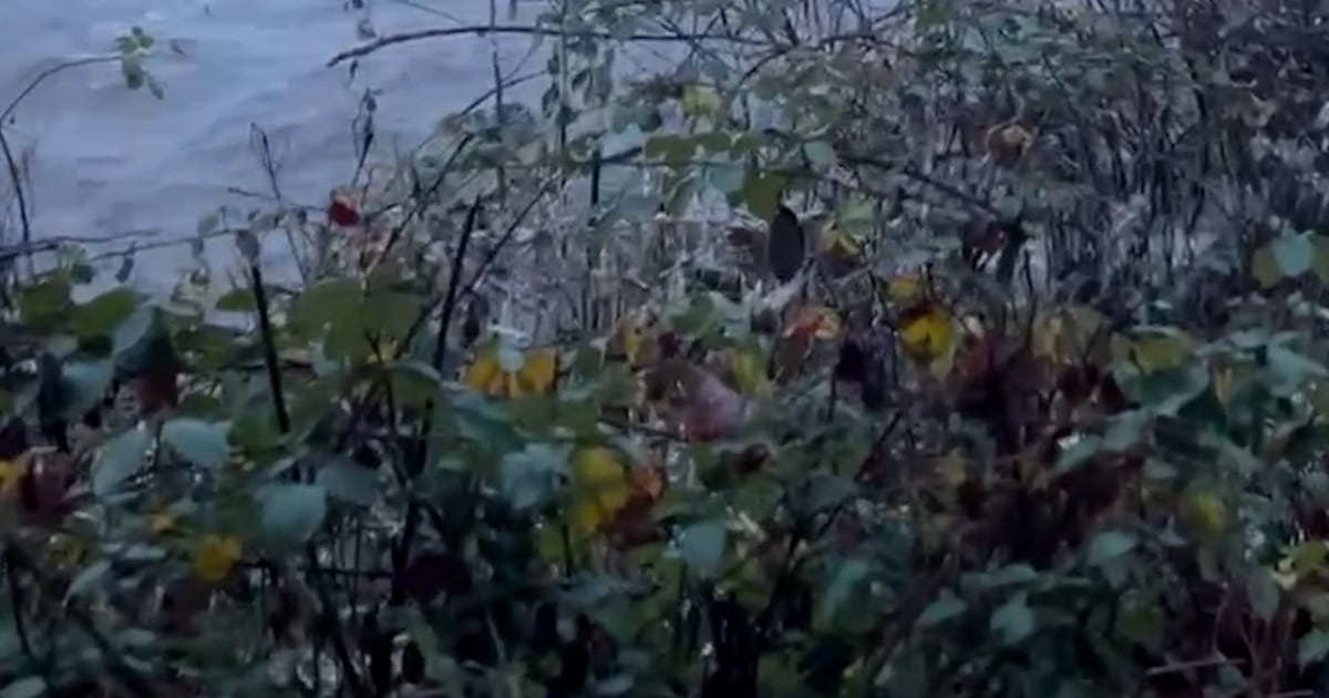 River carries off Washington couple’s home