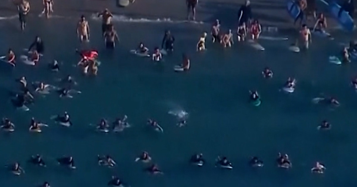 Surfers join swimmers in mass tribute to Bondi victims