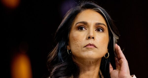Tulsi Gabbard under scrutiny for showing up at FBI raid of Georgia election hub