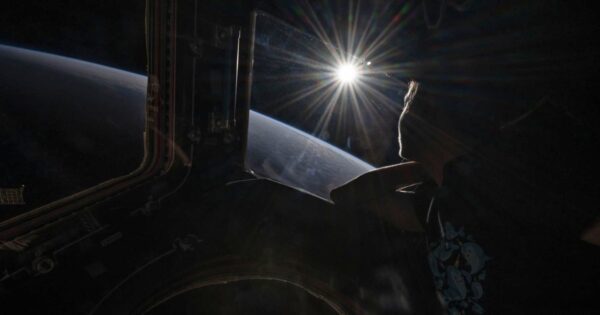 Astronauts’ brains change shape and position in space: study