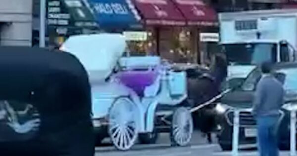 Carriage horse bolts into New York City traffic