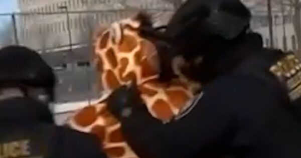 ICE arrest protester in giraffe costume in Minneapolis