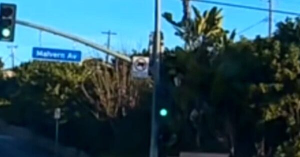 California child falls from moving car, mother arrested