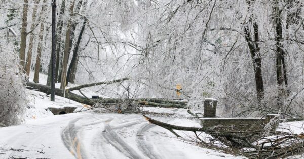 Winter freeze grips part of the country