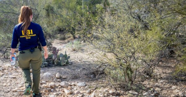 Man detained in Nancy Guthrie investigation released