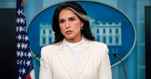 Tulsi Gabbard accused of trying to ‘bury’ whistleblower complaint
