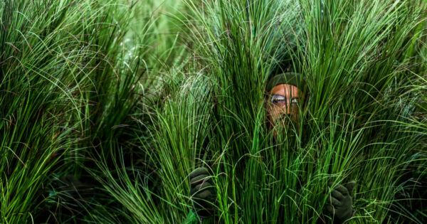 What it was like to be a bush at Bad Bunny’s Super Bowl performance