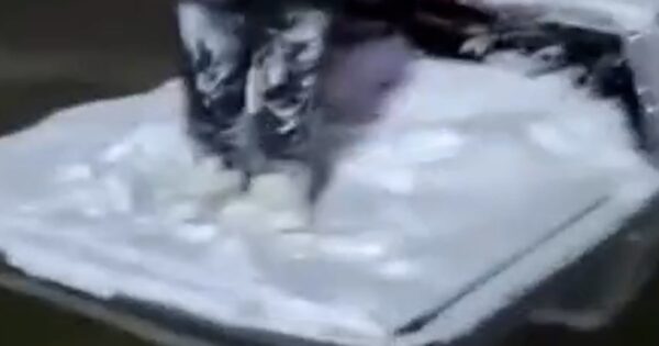 Firefighters rescue a man trapped in an icy pond