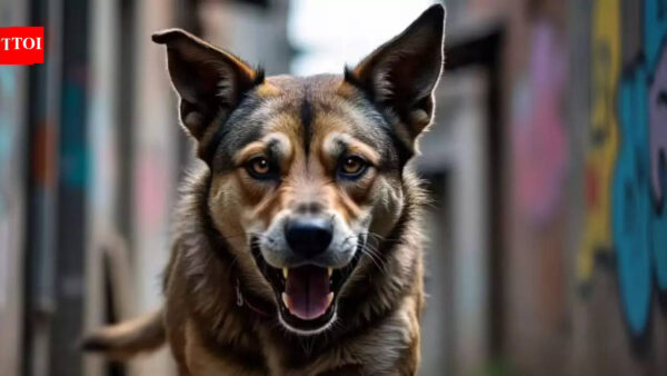 UK dog attack: 19-year-old woman dies in Essex property attack