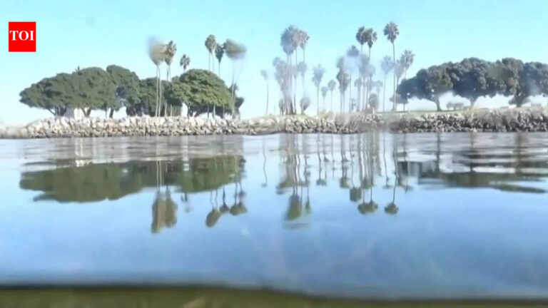 Harnessing DNA to Combat Climate Change: The Future of Ecosystem Restoration |