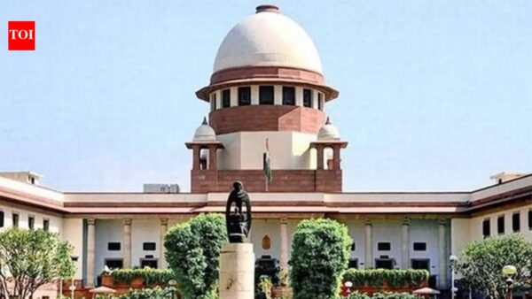 No more ‘corridors of peril’: Supreme Court rolls out strict highway safety norms, bans illegal parking, encroachments | India News