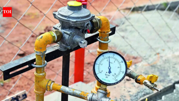 Panel calls for shift to smart prepaid metering for domestic PNG | India News