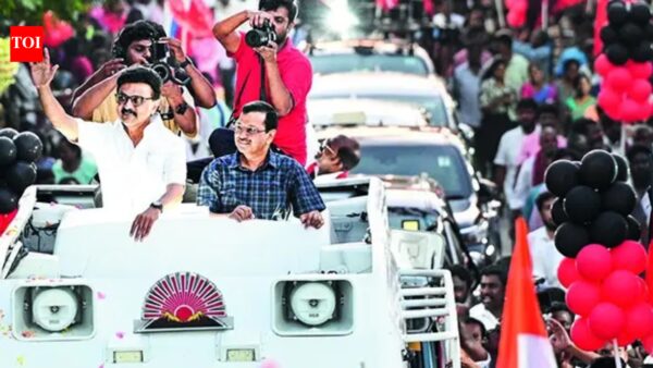 Do you want an MLA or a newcomer staging drama, says CM M K Stalin | Chennai News