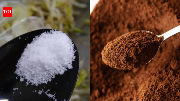 Coffee Purity Test: 1 lakh fake ENOs and 50,000 coffee sachets seized: FSSAI’s 2 simple tests to check coffee purity at home |