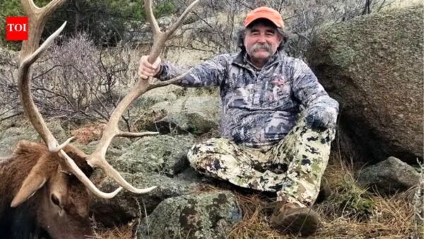 Hunter becomes the hunted: Five elephants crush 75-year-old millionaire trophy hunter to death during hunt | World News