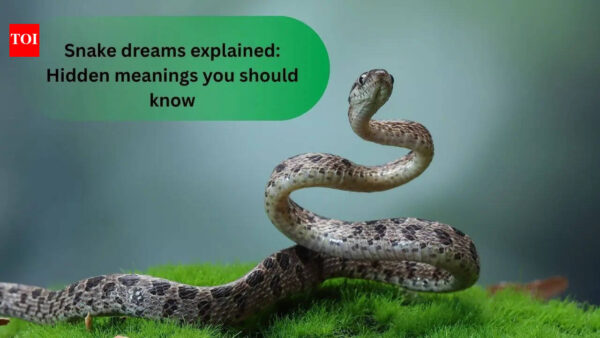 Snake dreams explained: Hidden meanings you should know