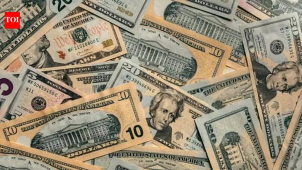 ‘Visitors from China, India top spenders in US’ | India News