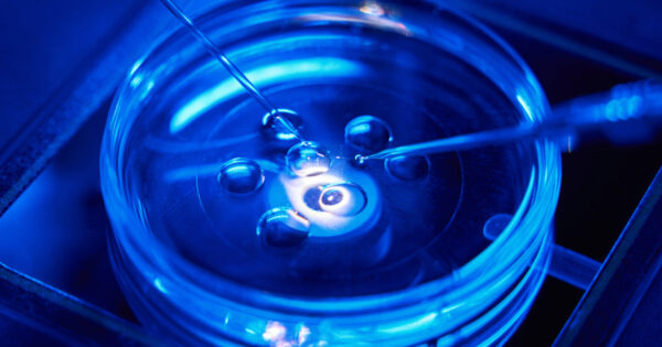 IVF clinic accused of embryo mix-up closes amid legal and financial problems