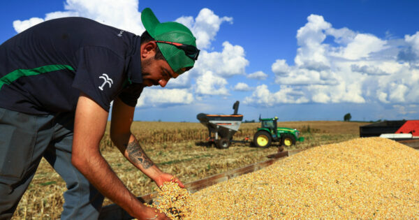 How the Iran war could shatter global food security