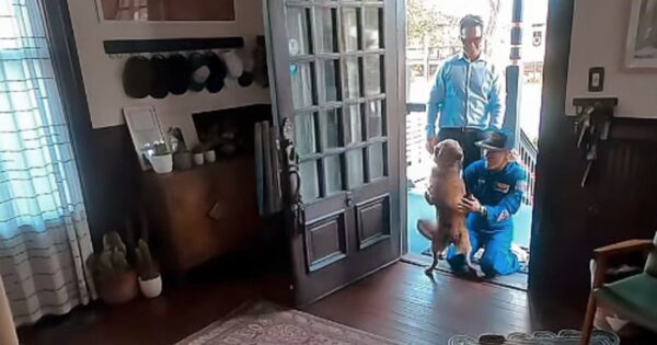 Artemis II astronaut Christina Koch reunites with her dog in heartwarming video