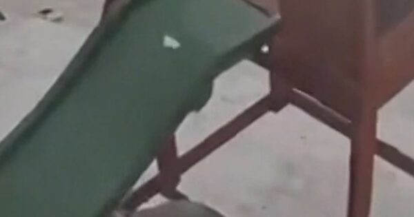 Tornado rips through Florida backyard