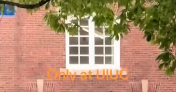 Cow runs loose on University of Illinois campus