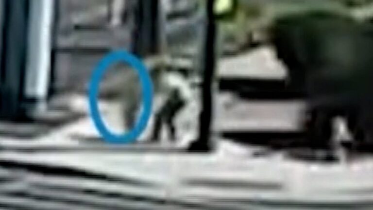 Video captures moment toddler was rescued from traffic