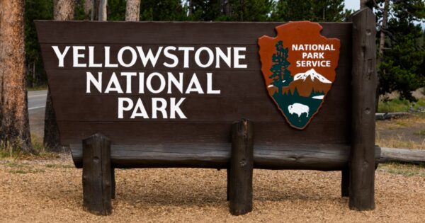 2 hikers injured in bear attack on Yellowstone trail