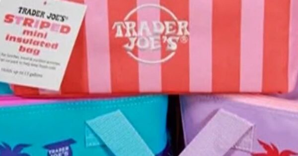 Trader Joe’s unveils new insulated mini tote bag