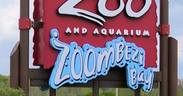 Multiple zoos targeted by swatting and bombs threats