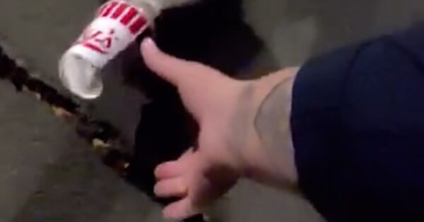 Colorado officer removes cup stuck on skunk’s head