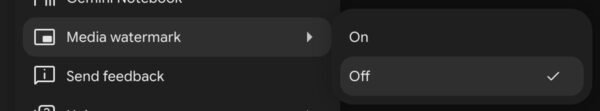 Google now lets you remove Gemini’s visible watermark