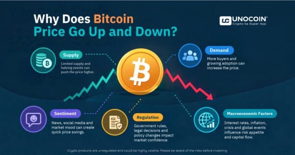 Why Does Bitcoin Price Go Up and Down? Key Factors
