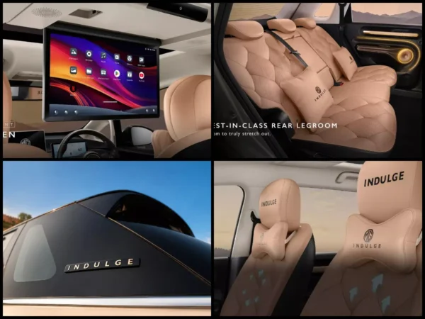 Rs 17.89 Lakh EV Gets Exclusive Colour, Rear Seat Screen & More